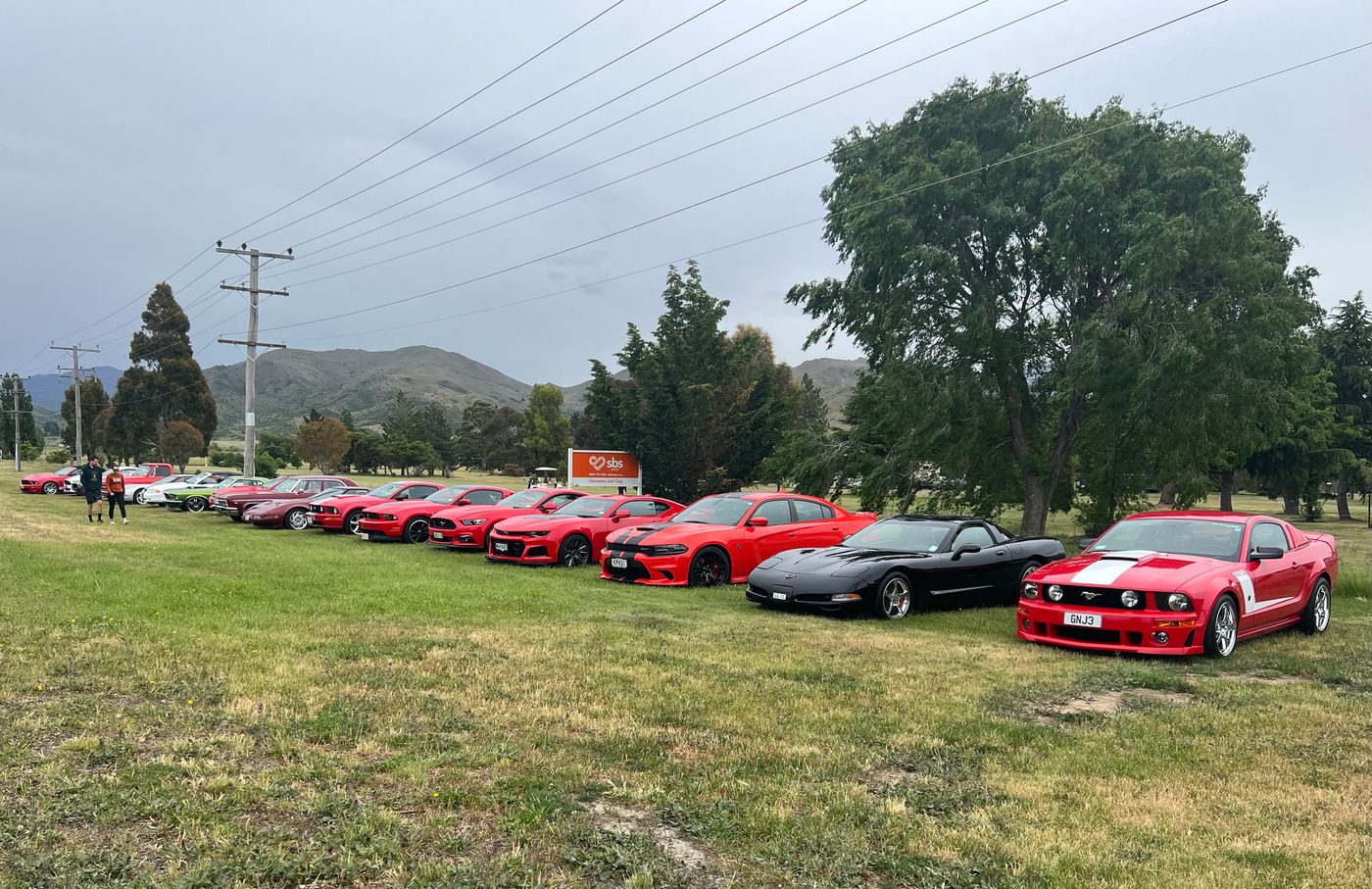 A line of classic red cars parked on the grass at a club run
